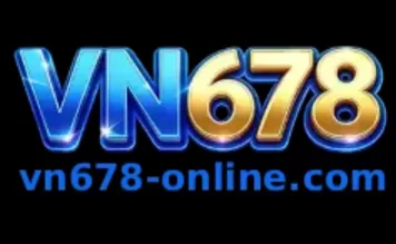 vn678-dummy